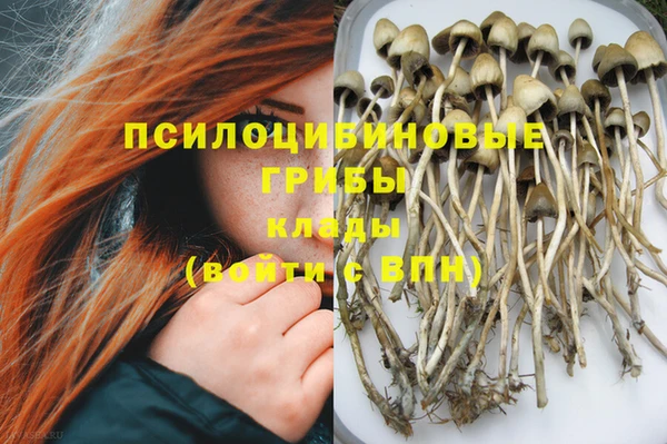 героин Гусев