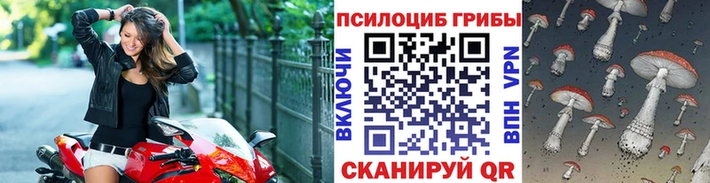 сайты даркнета наркотические препараты  Чухлома  Галлюциногенные грибы прущие грибы 
